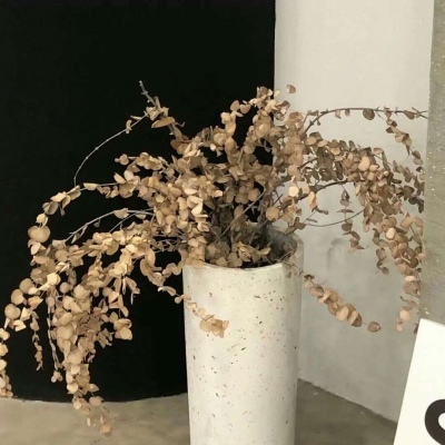 Furry插画光影解析干货FurryQQ群